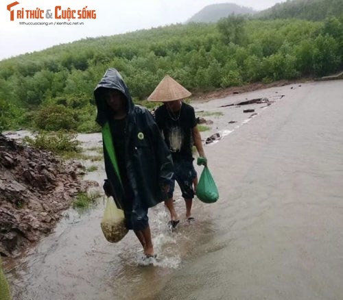 Ha Tinh: Nam tram vao mua, nguoi dan hao huc len rung-Hinh-7