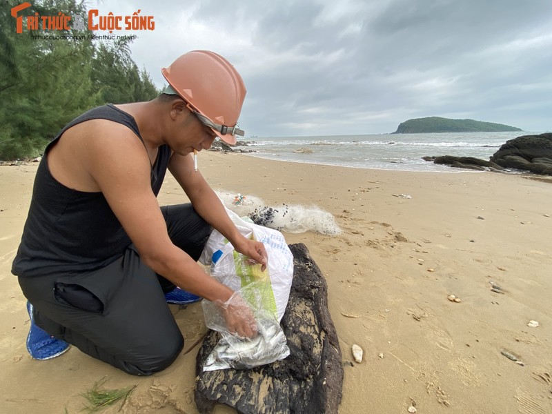 Bap benh muu sinh nghe san ca doi bien o Quang Binh-Hinh-5