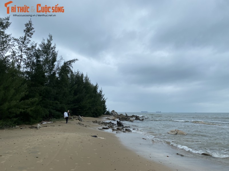 Bap benh muu sinh nghe san ca doi bien o Quang Binh-Hinh-6