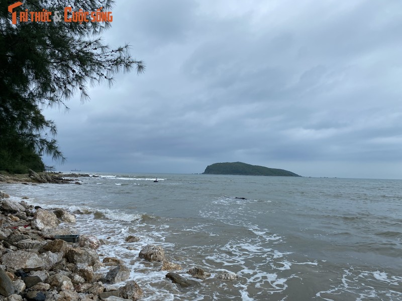 Bap benh muu sinh nghe san ca doi bien o Quang Binh