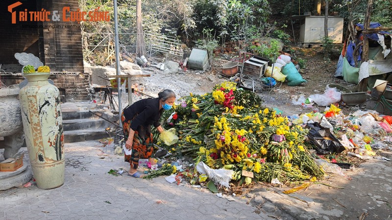 Choang vang voi dan ngua 