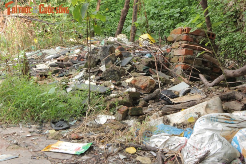 Ha Noi: Nguoi dan “song do chet do” vi bai rac tu phat nhieu nam-Hinh-9