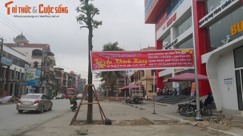 Ky la hang cay xanh trong “duoi long duong” o Uong Bi-Hinh-15