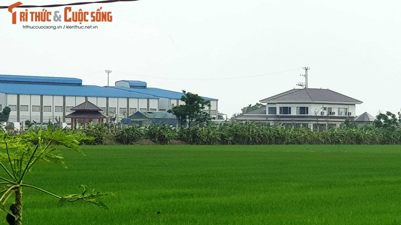 Hai Duong: Mua lai dat nong nghiep… de xay biet thu hoanh trang