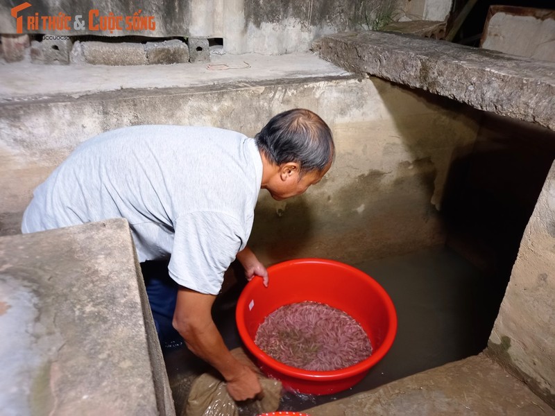 Nguoi dan Hai Duong thuc dem san dac san ruoi, thu tien trieu-Hinh-4