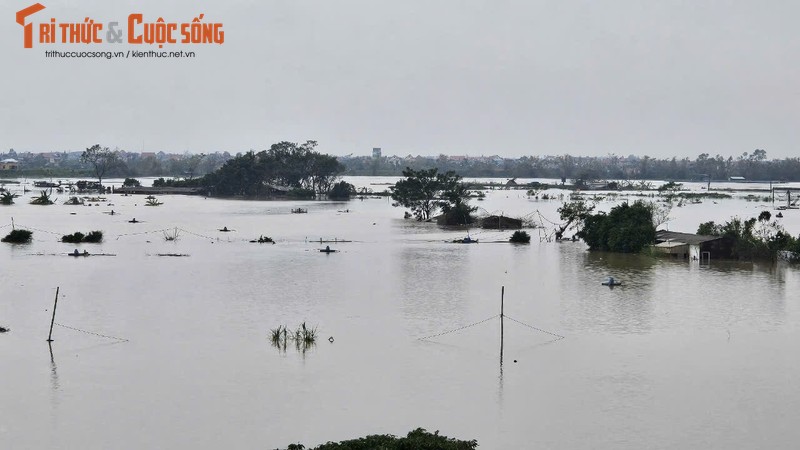 Hai Duong: Nuoc lu dang cao, nong dan mat trang tram tan ca