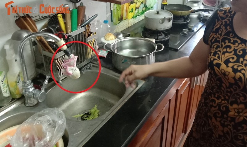 Ha Noi: Dan phat khiep khi song chung duong nuoc day giun san