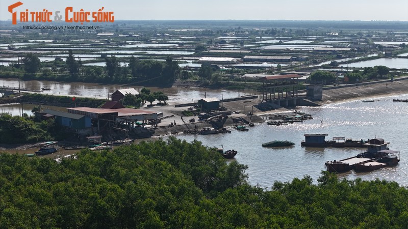 Ninh Binh: Bai tap ket trung chuyen ngao gay o nhiem moi truong?