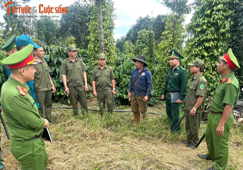 Dak Nong: Giu binh yen cho mua thu hoach ca phe-Hinh-5