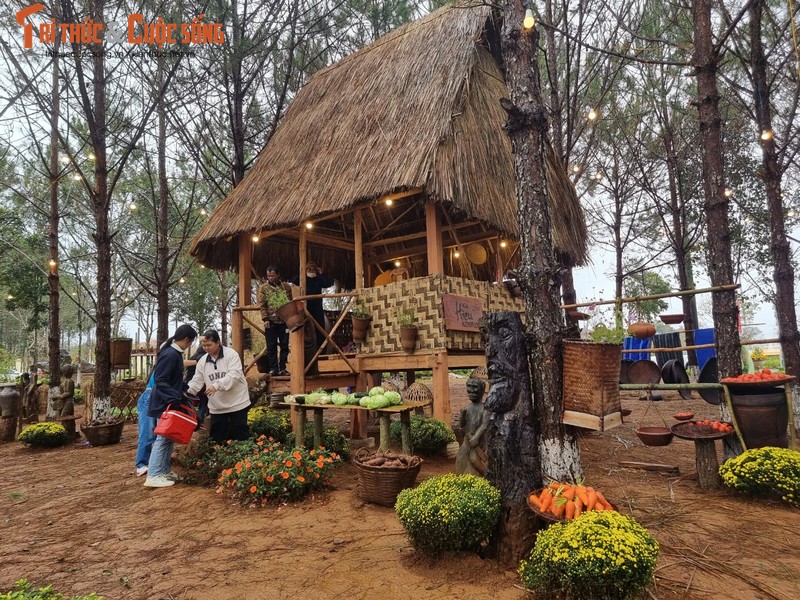 Kon Tum: Mang Den “ket cung” ngay mung 4 Tet du thoi tiet mua lanh-Hinh-2