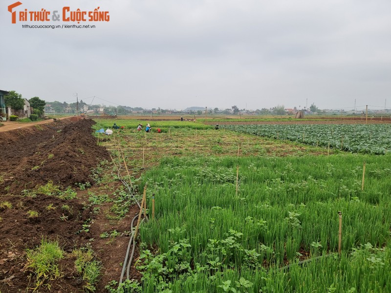 Du an ha tang xa An Phu: Dan chua dong thuan vi khong co den bu