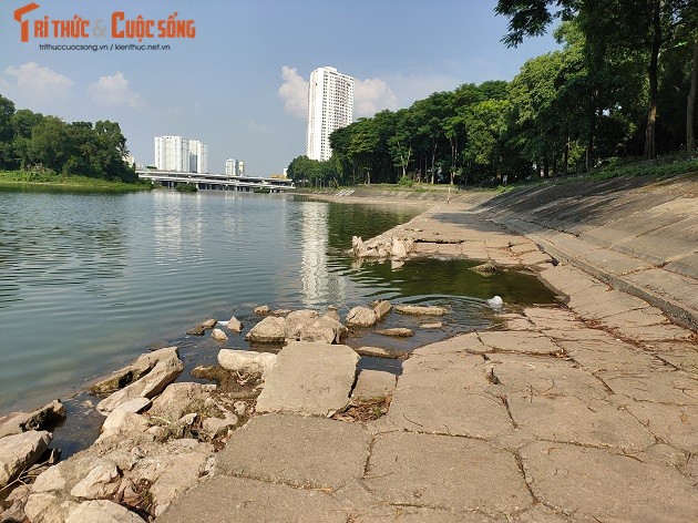 Ha Noi: Can canh cong vien Bac Linh Dam xap xe, de hoang phe-Hinh-12