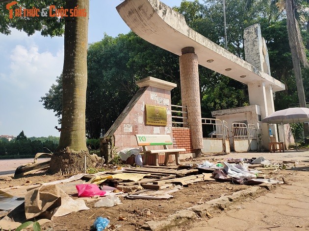 Ha Noi: Can canh cong vien Bac Linh Dam xap xe, de hoang phe-Hinh-4