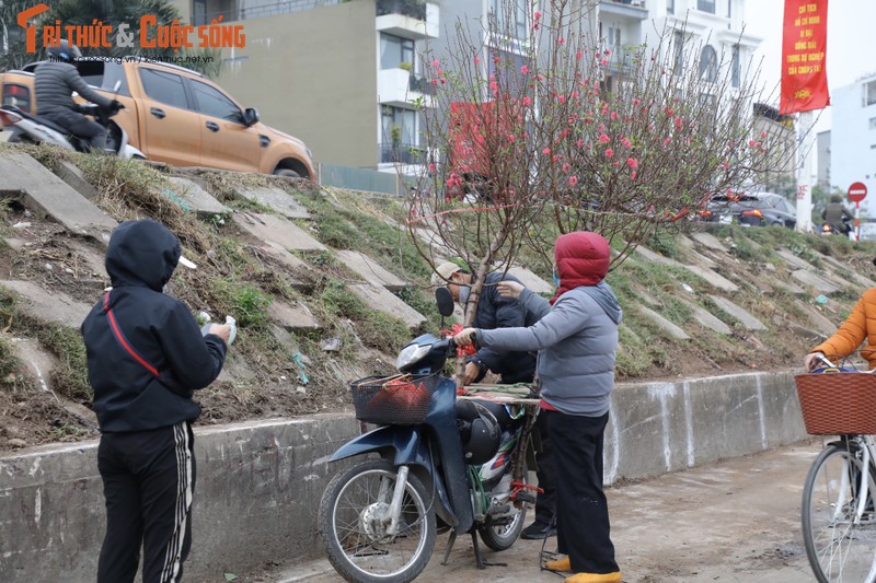 Mac ret dam, nguoi dan van do xo mua dao choi Tet-Hinh-10