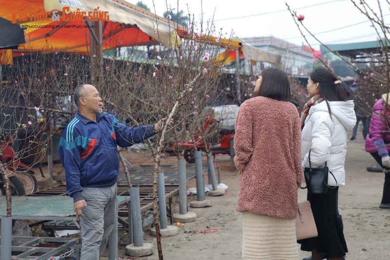 Mac ret dam, nguoi dan van do xo mua dao choi Tet-Hinh-3