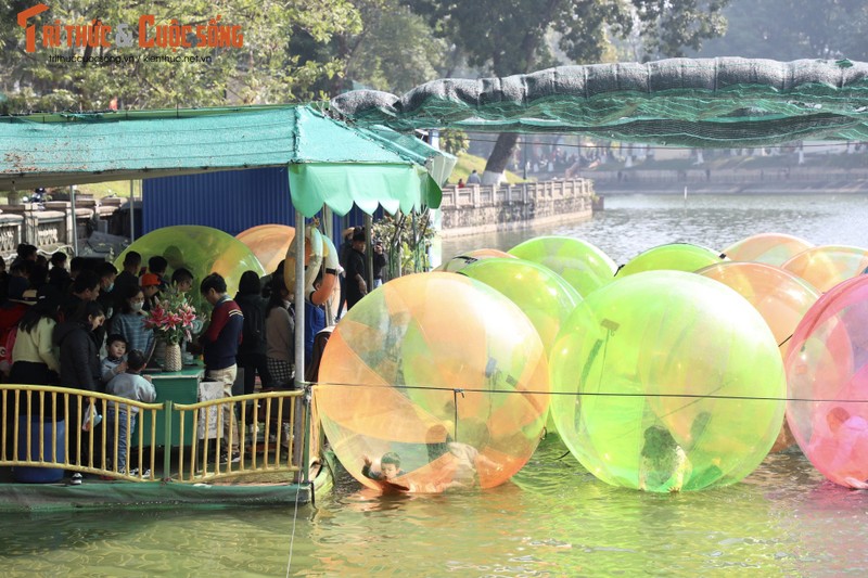 Hang ngan nguoi do ve vuon thu Ha Noi trong ngay dau nam moi-Hinh-12