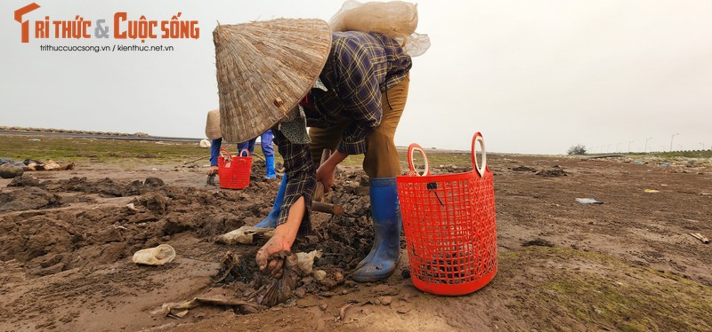 Vat va nghe cong lung di mot  