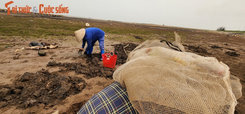 Vat va nghe cong lung di mot  