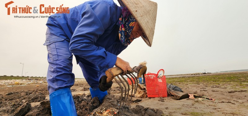 Vat va nghe cong lung di mot  