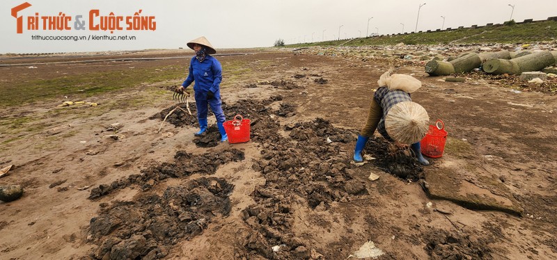 Vat va nghe cong lung di mot  