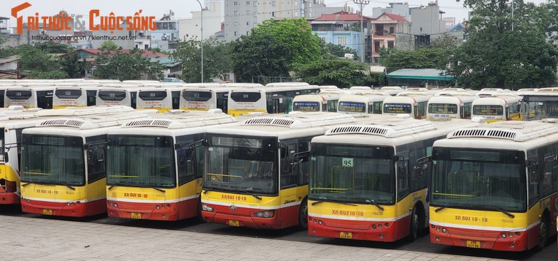 Tram trung chuyen 200 ty cua Transerco chua xay xong, xe buyt do la liet-Hinh-11