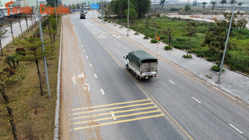 Dam go phu kin duong noi khu KCN Cai Lan qua KCN Viet Hung-Hinh-3