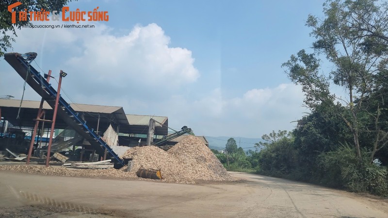 Nhuc nhoi loat xuong dam go hoat dong trai phep o Hoa Binh-Hinh-4