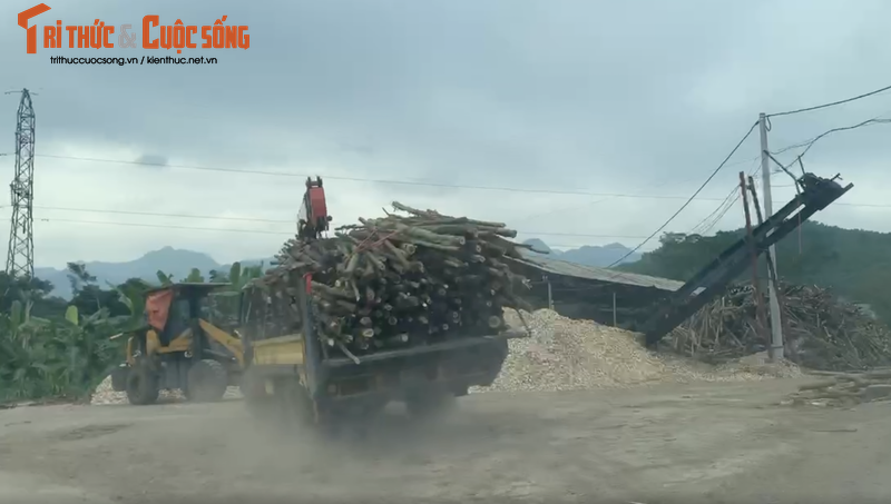 Nhuc nhoi loat xuong dam go hoat dong trai phep o Hoa Binh