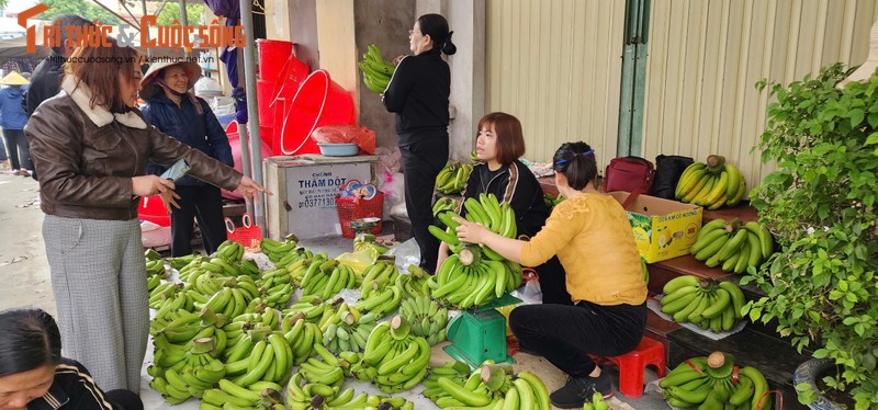 Doc dao cho Tet que ven bien Hai Hau-Hinh-3