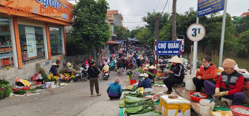 Doc dao cho Tet que ven bien Hai Hau