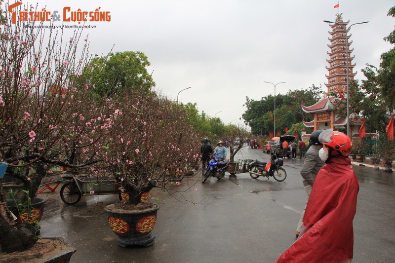 Nguoi dan doi mua, chiu ret “cho Tet” ve nha-Hinh-3