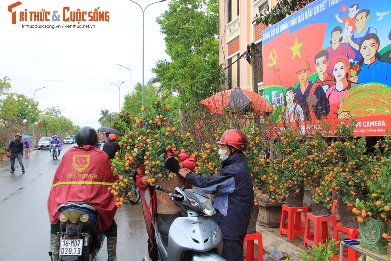 Nguoi dan doi mua, chiu ret “cho Tet” ve nha-Hinh-5