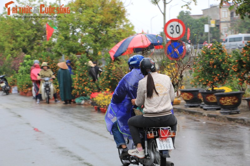 Nguoi dan doi mua, chiu ret “cho Tet” ve nha-Hinh-6