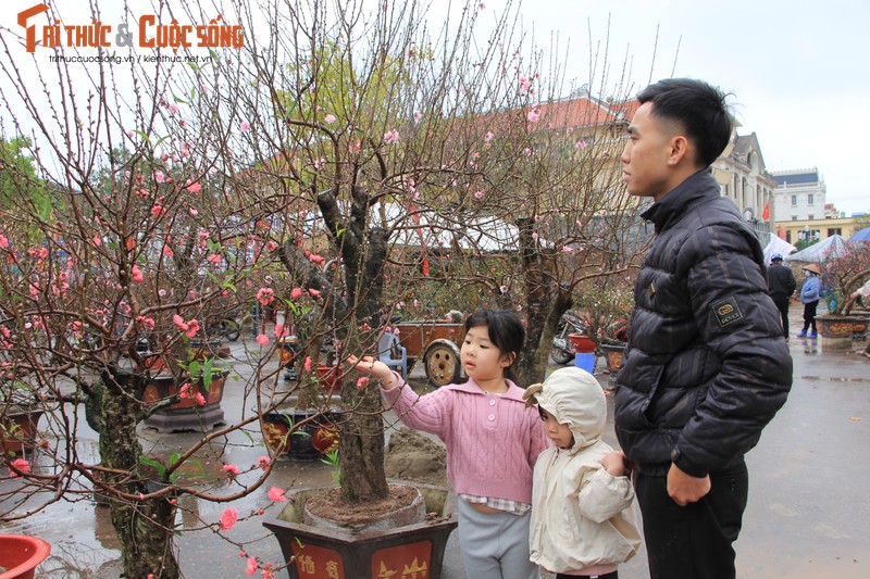 Nguoi dan doi mua, chiu ret “cho Tet” ve nha-Hinh-8