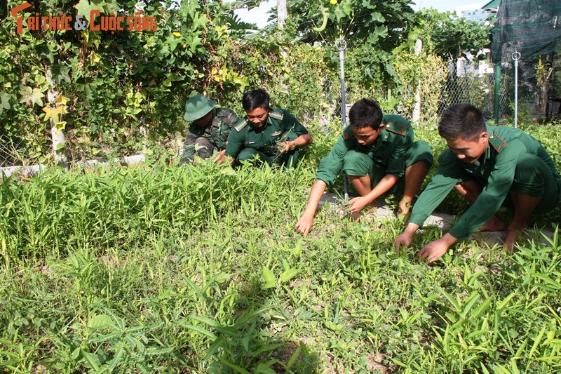 Ngo ngang doanh trai Don bien phong Cau Bong-Hinh-4