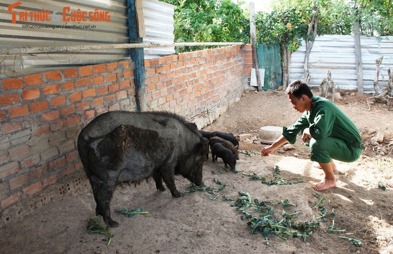 Ngo ngang doanh trai Don bien phong Cau Bong-Hinh-7