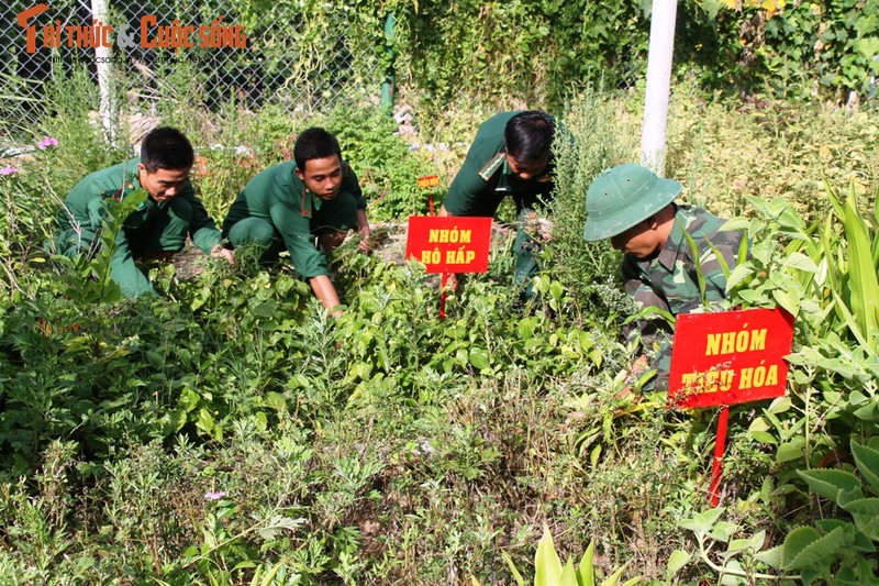 Ngo ngang doanh trai Don bien phong Cau Bong-Hinh-8