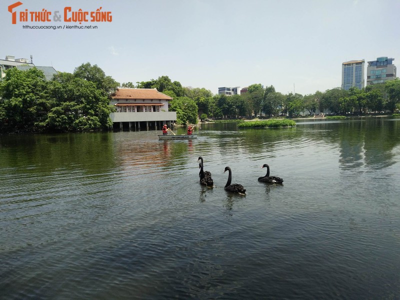 Phat hien thi the nguoi dan ong duoi ho Thien Quang, Ha Noi-Hinh-5