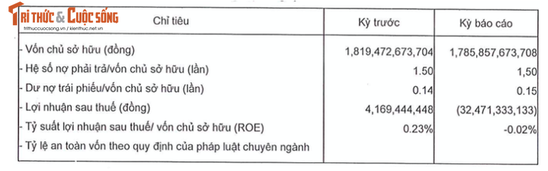 “Suc khoe” CTCP Dau tu Phan Vu ra sao ?-Hinh-5