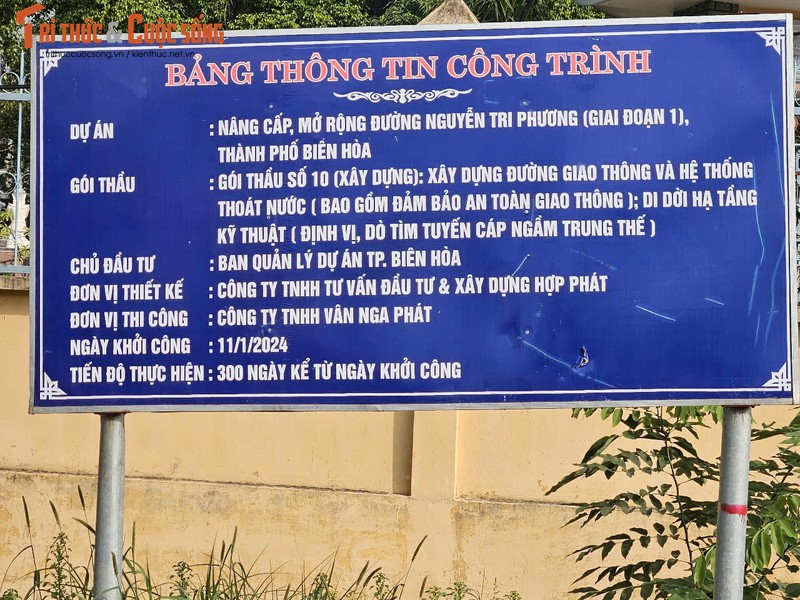 Goi thau 100 ty tai Lam Dong: Lien danh Phan Dinh–Hoang Mai–ICCO40 co bi loai oan?-Hinh-5