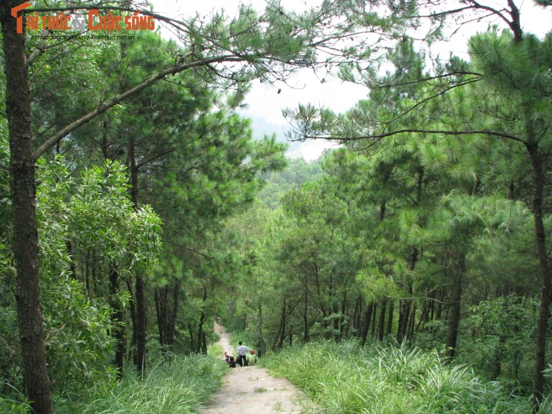 Bi an nhung vung dat Viet noi tieng linh thieng-Hinh-8