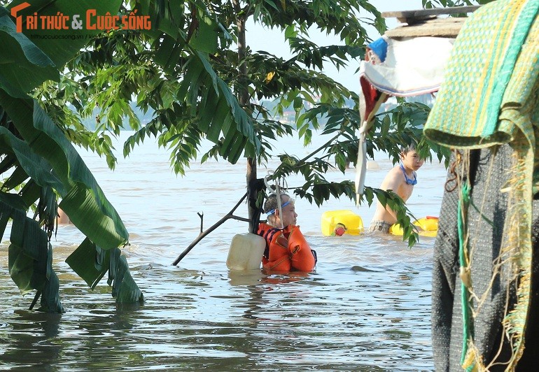 Rung minh canh nguoi Ha Noi tam giua nuoc lu song Hong-Hinh-11