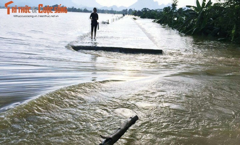 Can canh nuoc de song Bui 2 nhan chim trang trai nguoi dan