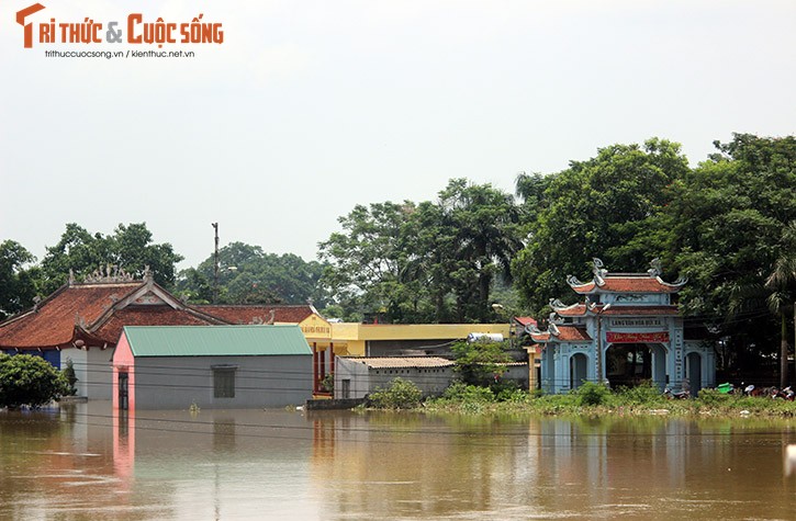 Ha Noi ngap lut: Sang 23/7, nha cua van chim trong bien nuoc-Hinh-7