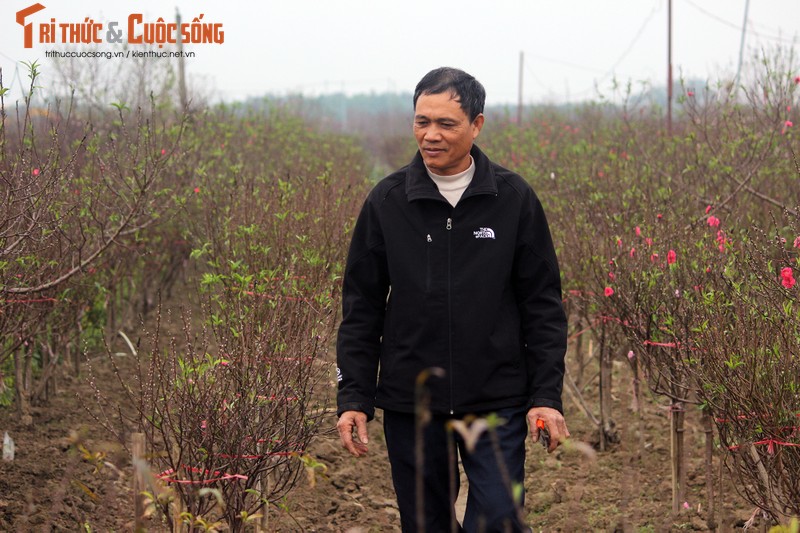 Anh: Nguoi dan hoi ha den lang Nhat Tan mua dao, dem ra cho ban-Hinh-8