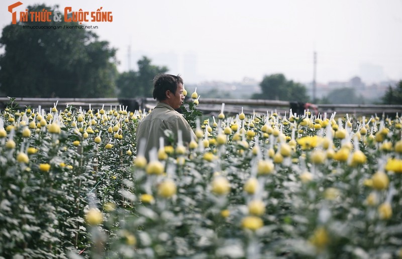 Lang hoa Tay Tuu hoi ha vu Tet Nguyen dan Canh Ty 2020-Hinh-3