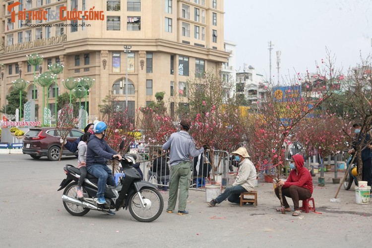 Cho hoa Tet Ha Noi vang chua tung co, tieu thuong ue oai cho khach-Hinh-11