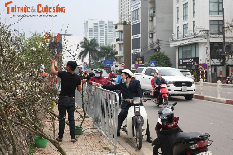 Sau Tet, hoa le vung cao xuong pho Ha Noi... het gia 7 trieu/canh-Hinh-11