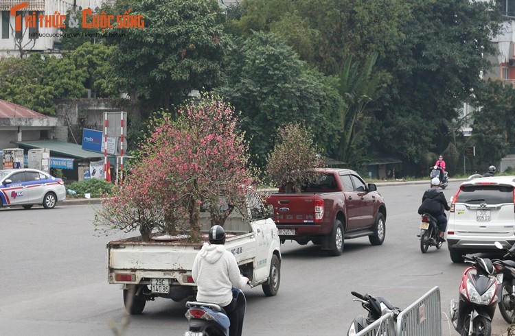 Dao Nhat Tan nhon nhip “ve vuon” sau nhung ngay choi Tet