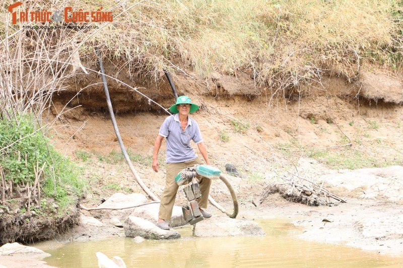 Hang ngan ha cay trong “khat” nuoc o Lam Dong, Binh Thuan-Hinh-7